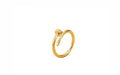Stainless steel gold Nail ring